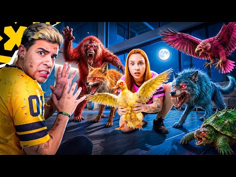OS ANIMAIS DA LIGA MISTÉRIO SÃO SKINWALKERS?… *trolagem