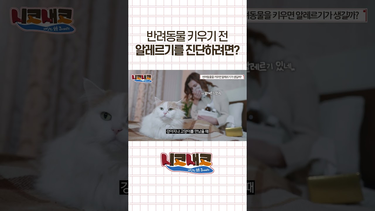 반려동물 키우기 전 알레르기를 진단하려면?