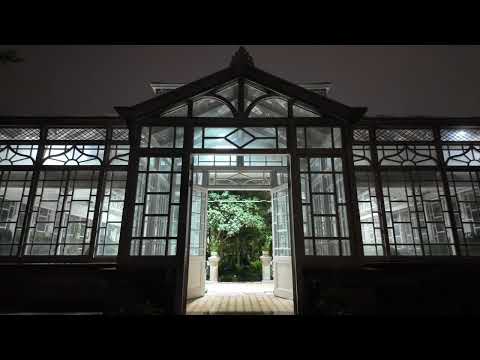 EP69 2025 May 창경궁(4k) - Night view - Daily quiet life in korea - calm healing