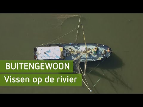 Vissen op de rivier | BuitenGewoon