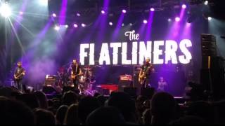 Live In Rimouski -  Freds got Slacks -  The Flatliners