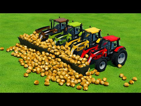 LOAD AND TRANSPORT POTATOES WITH CASE TRACTORS - Farming Simulator 22