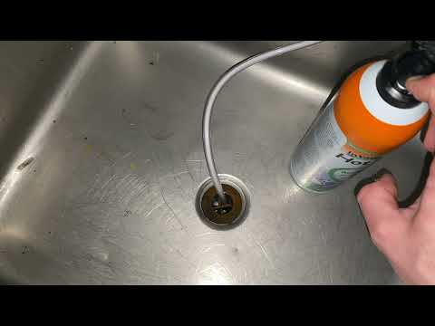 Drain Flies Harboring in Dirty Drain in Freehold, NJ