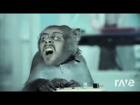 [MASHUP] Heads (Basement Jaxx vs Yeah Yeah Yeahs)