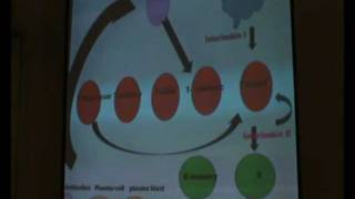 Dr.Dalia - Academic Support - 4/12