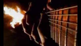 root - in the heart of darkness