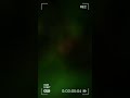 Seniors Mass Whatsapp Status