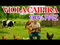 A VIOLA CAIPIRA É 100 RAIZ O MODÃO DE VIOLA CAIPIRA É NOSSO O Som Da Roça Está Vivo