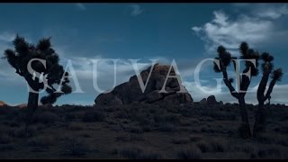 SAUVAGE  INDUSTRY - the tears of a dragon