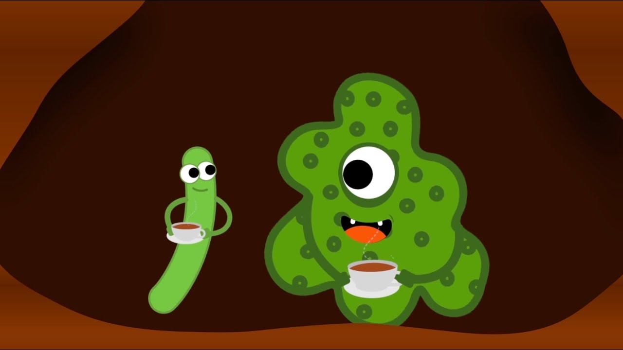 Paxi - Există marțienii ?