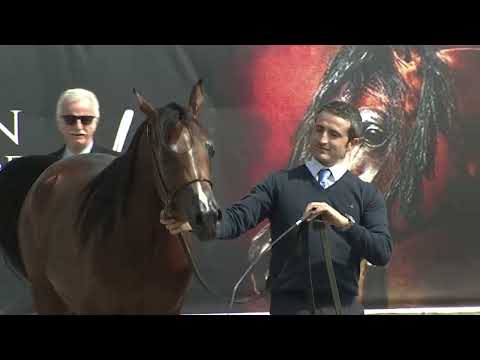 Travagliato 2024   Class 2