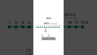 장미 관리법 특집 | 그 마지막! 이 영상을 보시고 나면 장미 관리는 식은 죽 먹기입니다 ✂️????‍???…