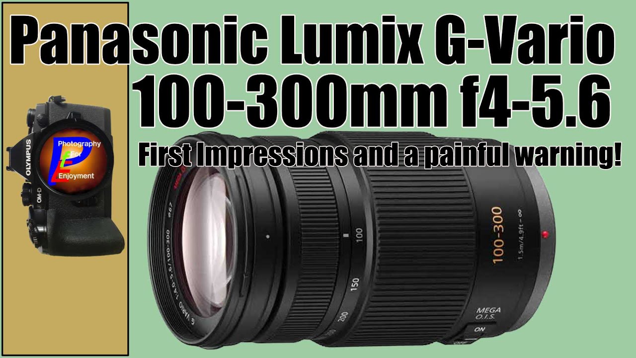 Panasonic 100-300mm f4.0-5.6 II POWER O.I.S. LUMIX G