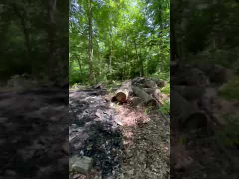 Staff dump site right behind site55