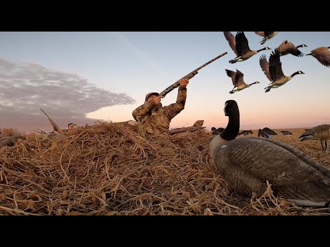 Unreal Goose Hunting in Canada! S2 Preview