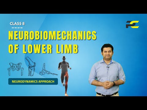 Conceptual Framework of Neurodynamics Treatment Approach The 3 Part System