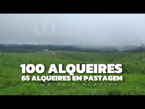 FARM of 100 ALQUEIRES with 65 ALQUEIRES in PASTURE! 35 KM of PLACAS/PA for R$ 30 thousand per ALQ...