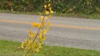 stormy monday gary moore version