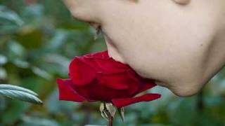 Smell the roses - Natasha Bedingfield