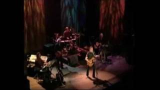 Gordon Lightfoot - A Painter Passing Trough (Live)