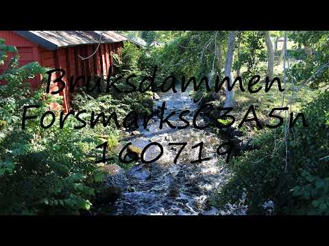 How to pronounce Bruksdammen ForsmarksC3A5n 160719 in Swedish?