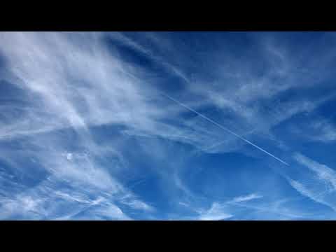 New Life Celebration Church of God