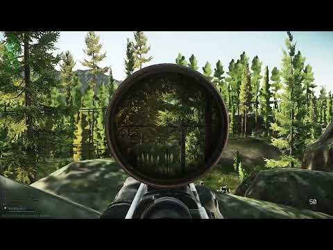 The best SBIH spot on Woods #shorts