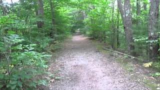 preview picture of video 'Mushroom walk in Gorham, Maine.'