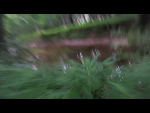 Rc car jumps off cliff into creek