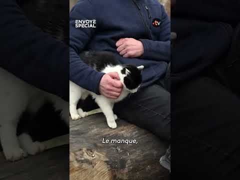 Un déserteur ukrainien dénonce la corruption des officiers