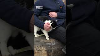 Video thumbnail image