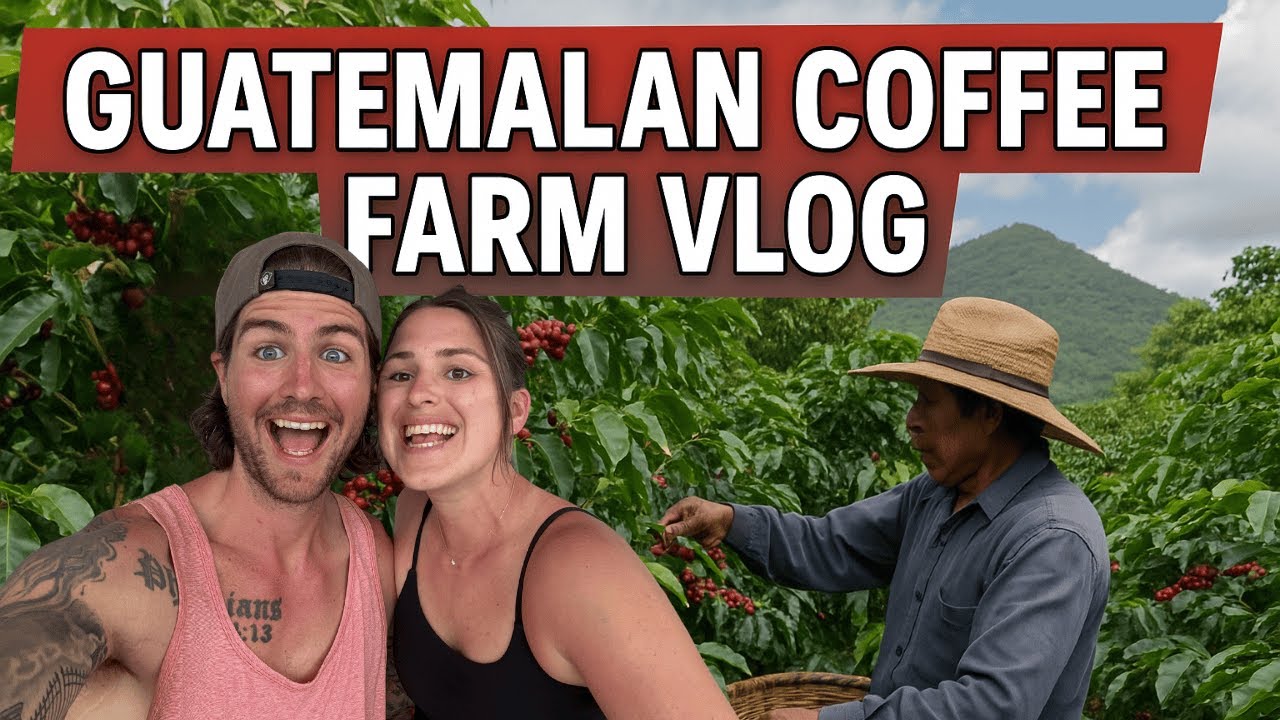 Coffee Farm Tour - Guatemala