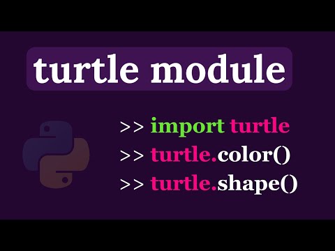 Python Turtle Graphics - Introduction | shape() | color()