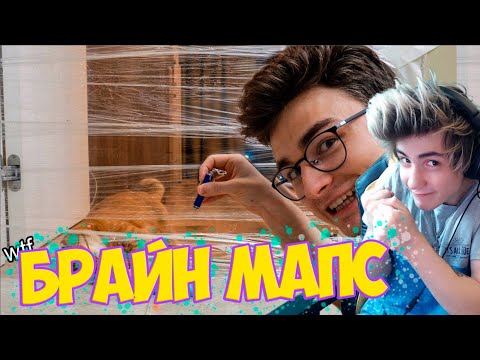 Кот VS Невидимая стена Реакция | Реакция на Thebrianmaps