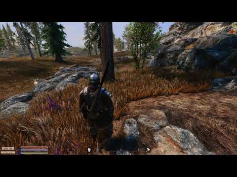 Librum(SE) | Easy Gold Early game 🤑