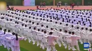 Tai Chi in unison