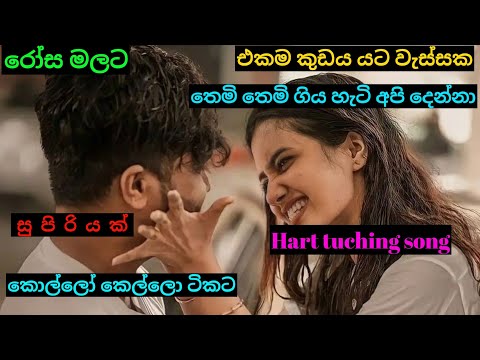 #රෝස මල @Ekama kudaya #yata wessaka,@එකම කුඩය යට වැස්සක hart tuching song