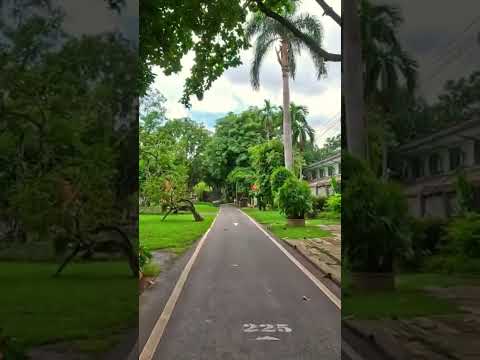 🇹🇭📍Parque público Nong Buak Haad, Chiang Mai, Tailândia