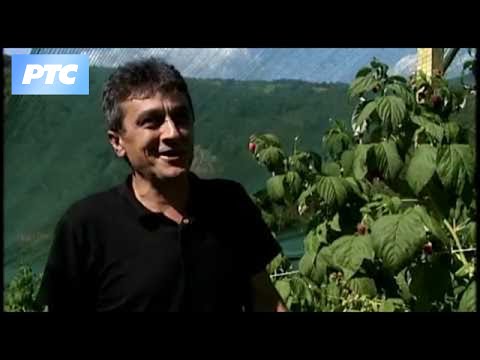 Nauka u selu ( TV RTS 02.12.2016. )