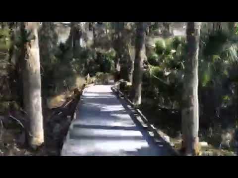 Juniper Springs Rec Area Fl The Dyrt