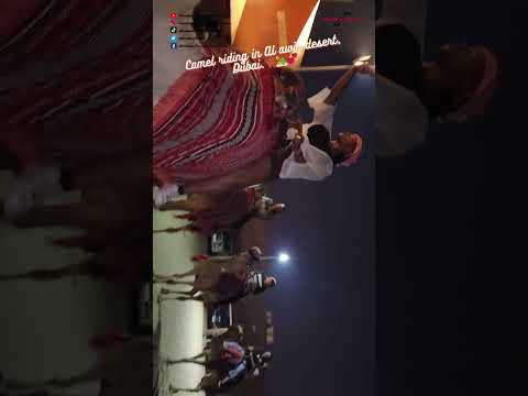 Evening camel riding in Al Awir desert, Dubai!