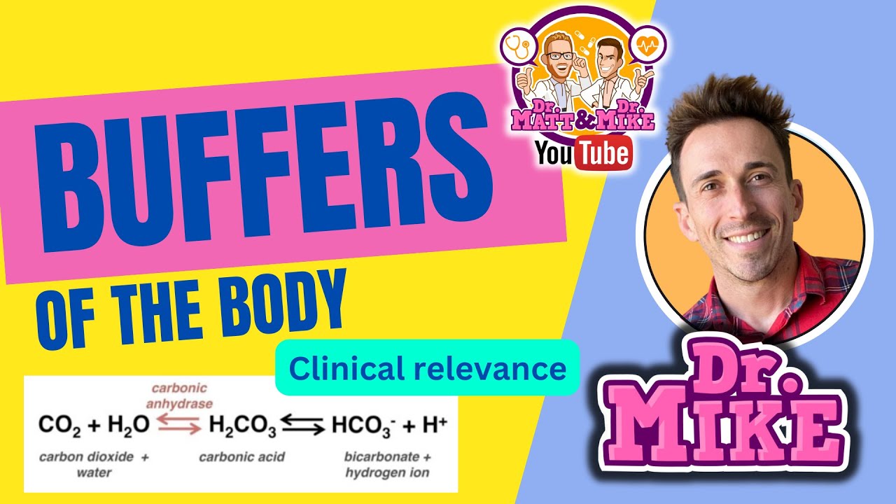 Buffers of the Body | Clinical Relevance