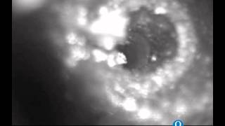 Downhole Memory Camera Video 001
