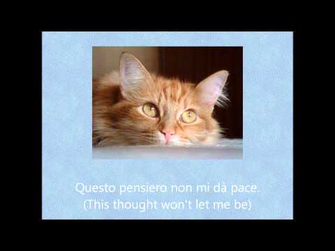 Italian word of the day: PACE