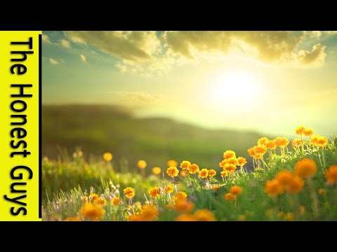 Morning Uplift - YOU ARE AMAZING! - Epic - Uplifting - Healing