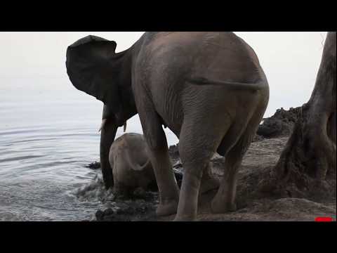 Be careful not to slip! [Best Video Clip 2019 entry]