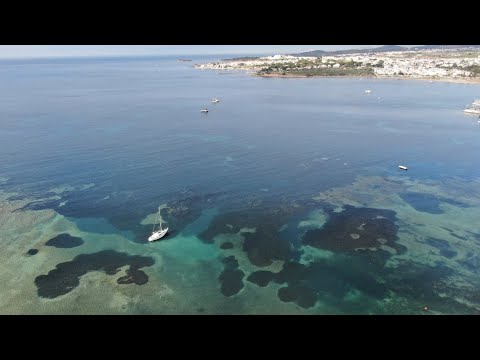 Aydın Didim Sedefkoy'da Plaja 200 Metre Satılık Arsa ve Çatıdubleks. Detaylar İçin +90 532 268 02 99