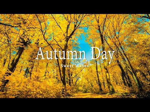 11 HRS Incredible Fall Foliage - Best 4K Autumn Nature Scenes from Around the World + Calming Music