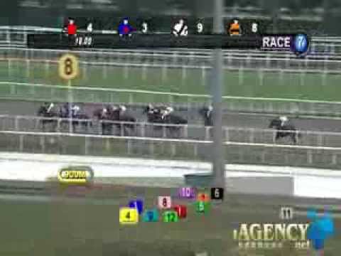 SINGAPORE RACE 20/10/2013 RACE 7 - iAgencyNet.com