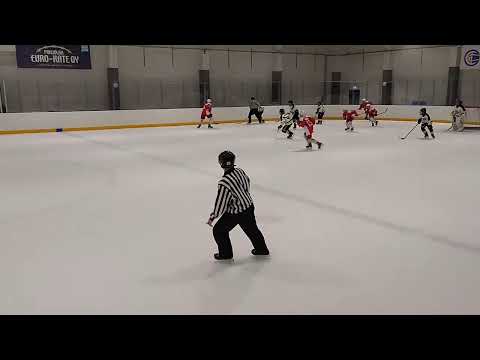 U14 AA Hokki Red - Kärpät keltainen